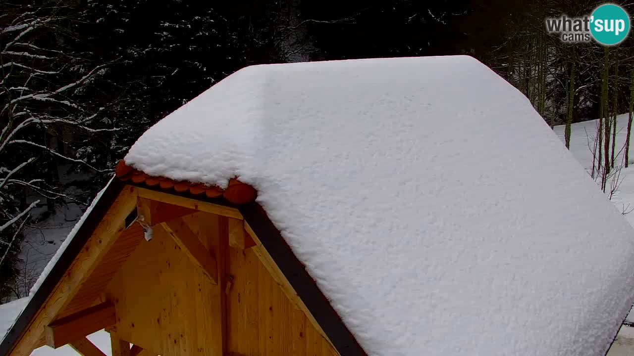 Webcam Lukanja – Water Village | Pohorje Houses