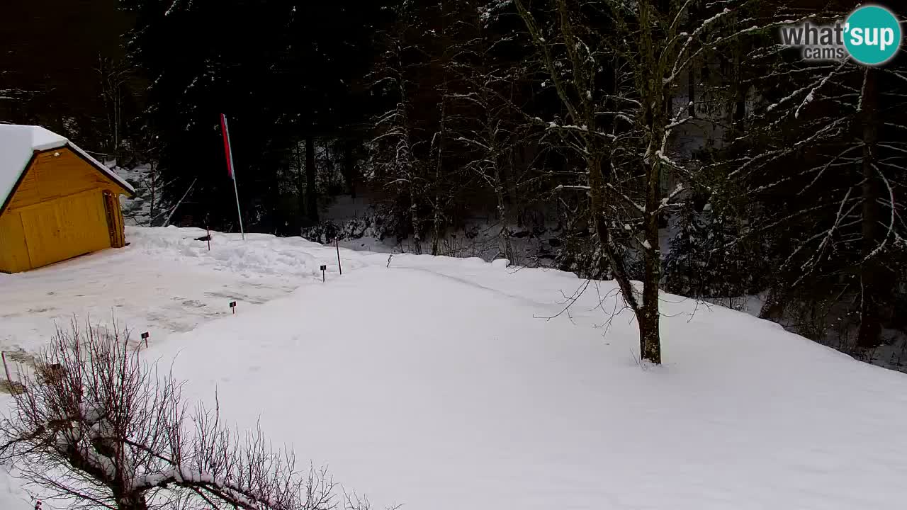 Webcam Lukanja – Water Village | Pohorje Houses