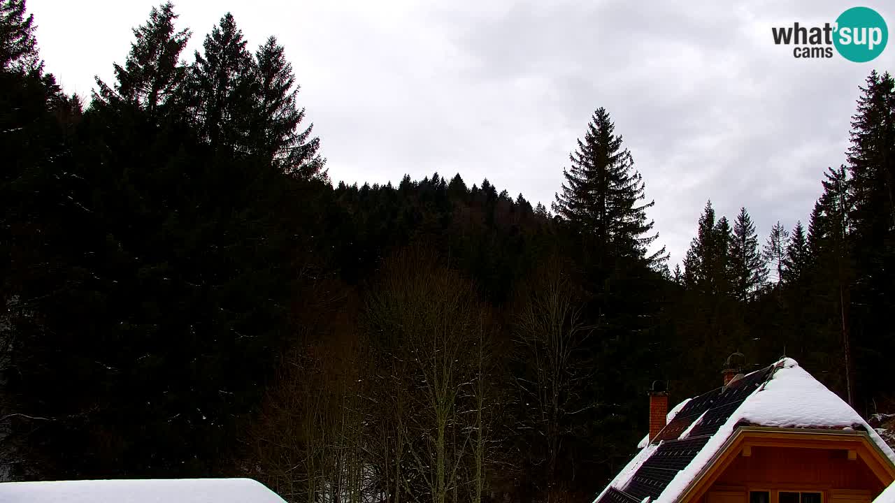 Webcam Lukanja – Pohorje houses a Water village