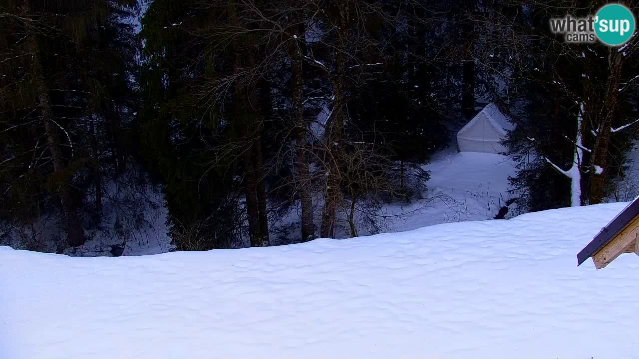 Webcam Lukanja – Water Village | Pohorje Houses