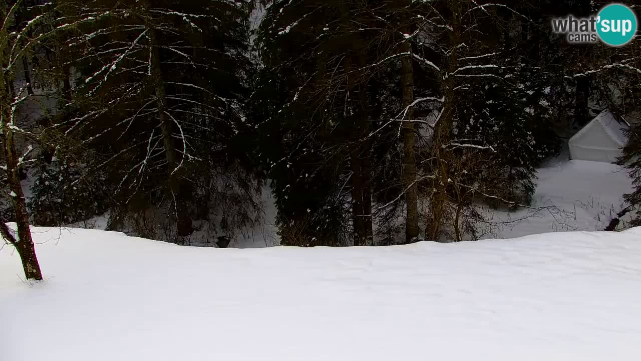 Spletna kamera Lukanja – Water Village | Pohorje Houses