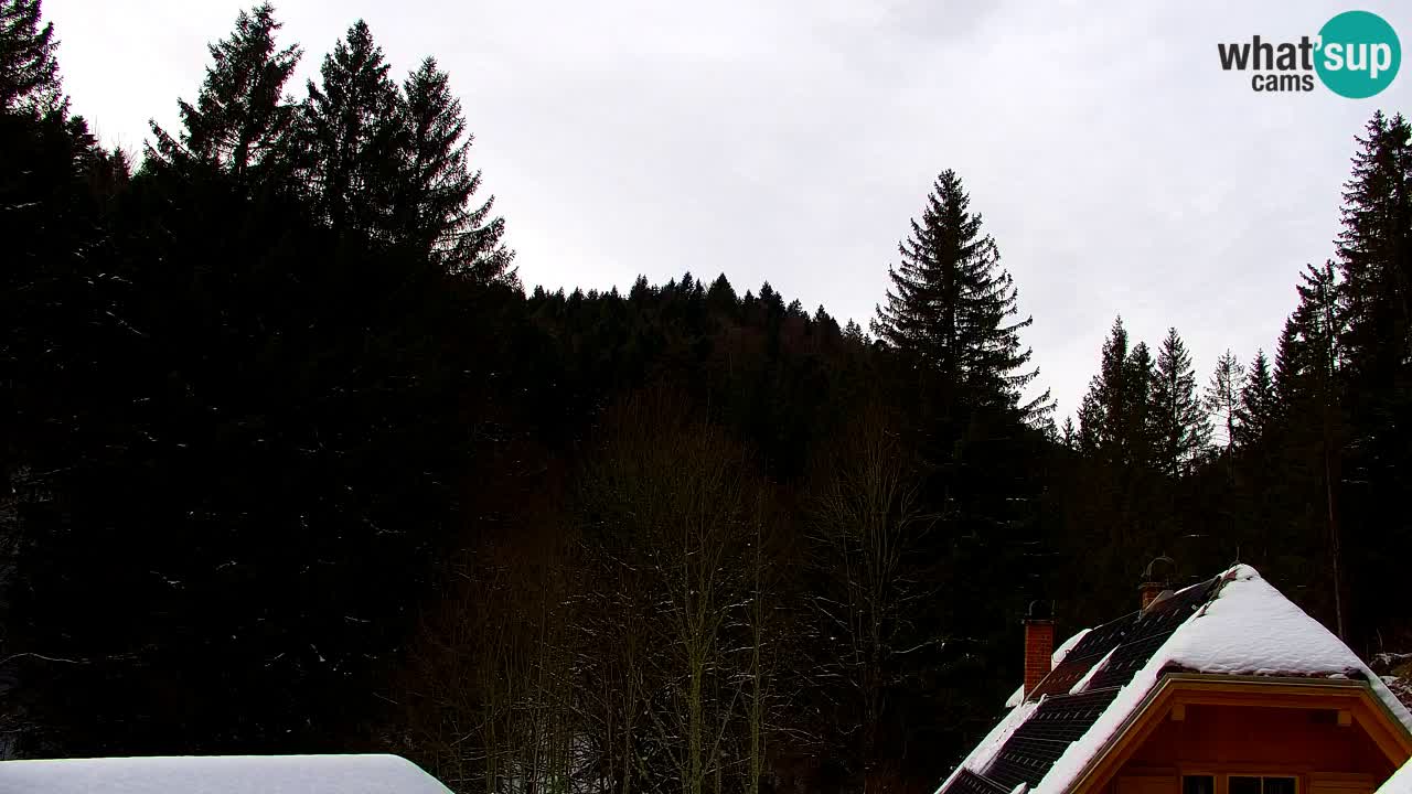 Web kamera Lukanja – Water Village | Pohorje Houses