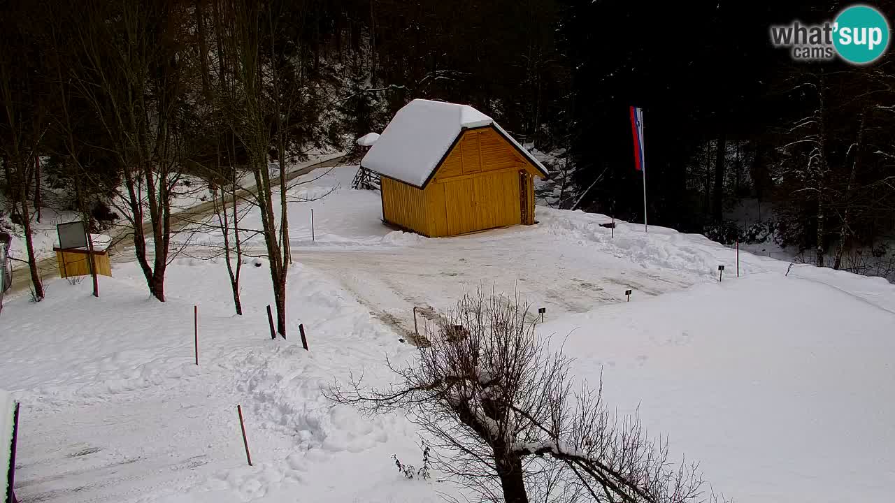 Webcam Lukanja – Water Village | Pohorje Houses