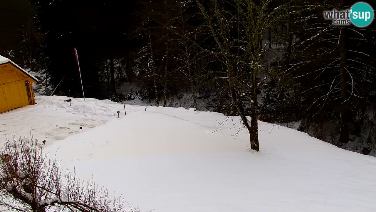 Web kamera Lukanja – Water Village | Pohorje Houses