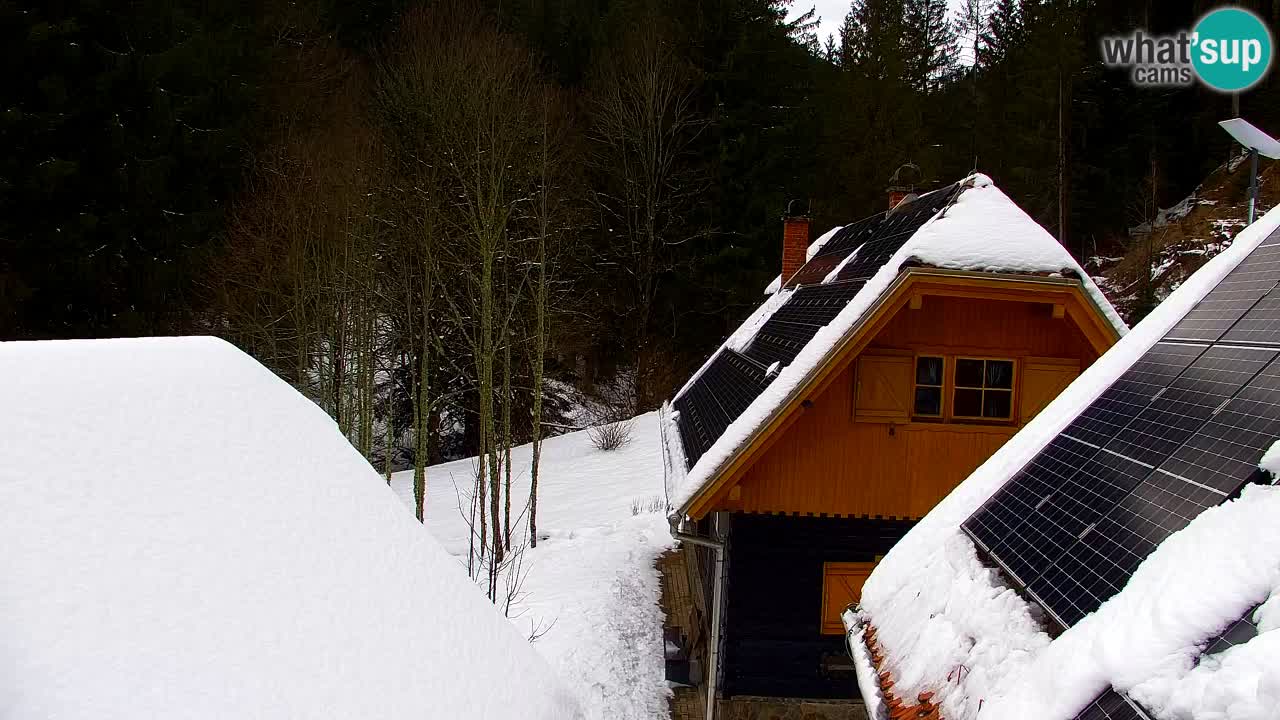 Webcam Lukanja – Water Village | Pohorje Houses