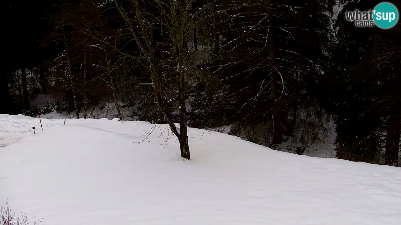 Webcam Lukanja – Pohorje houses a Water village