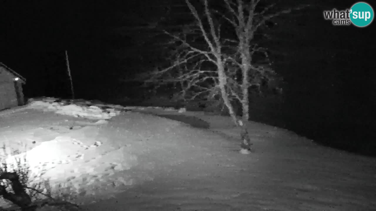 Webcam Lukanja – Pohorje houses a Water village