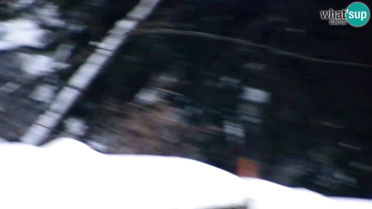 Webcam Lukanja – Pohorje houses a Water village