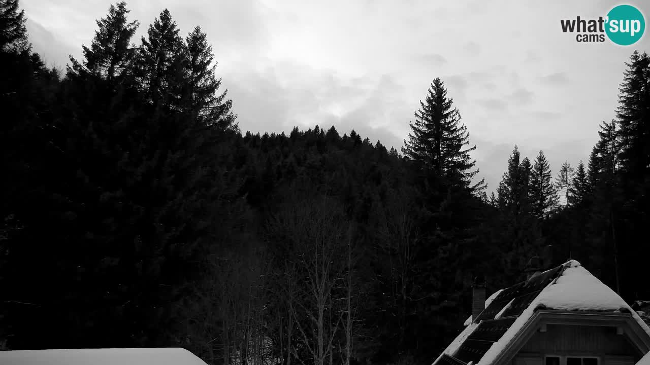 Webcam Lukanja – Pohorje houses a Water village