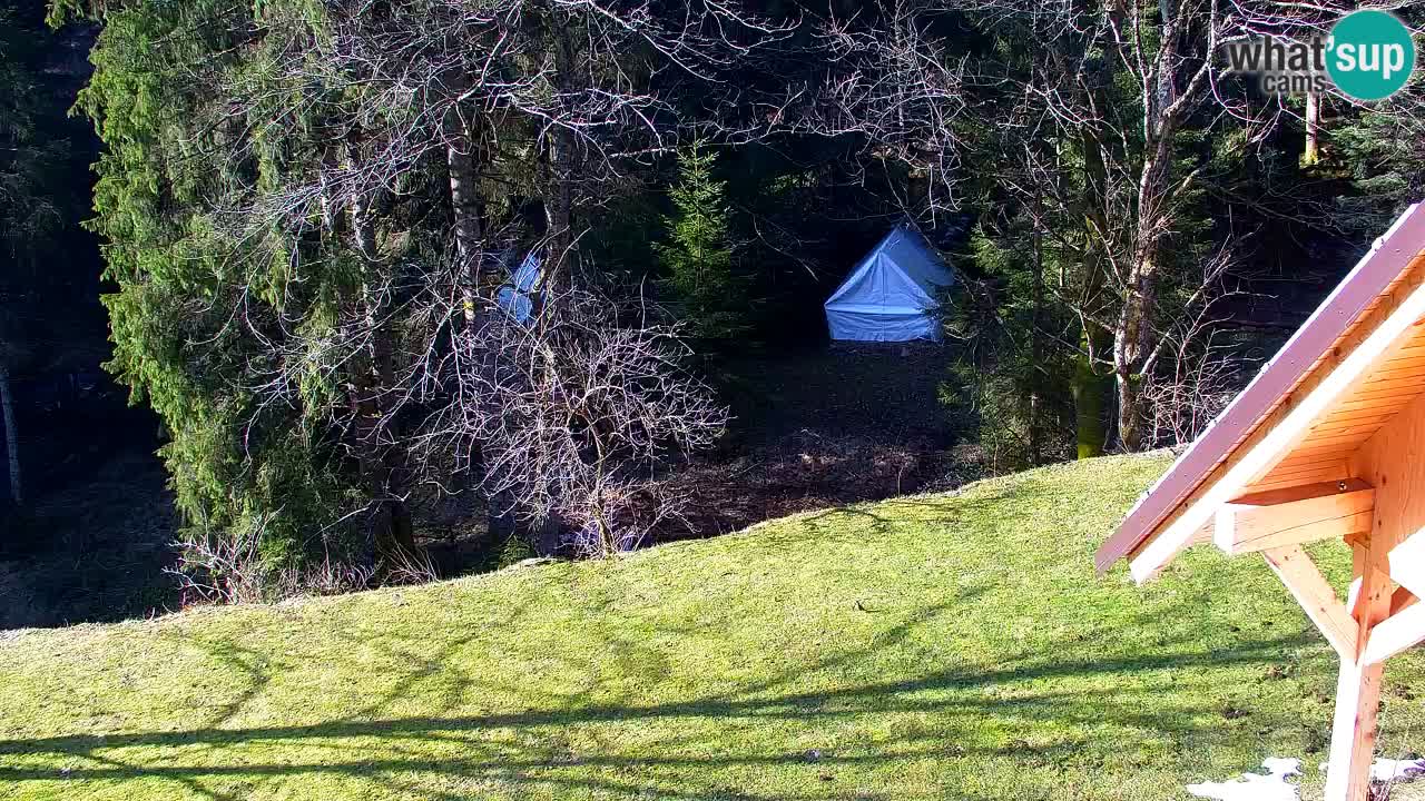Webcam Lukanja – Water Village | Pohorje Houses