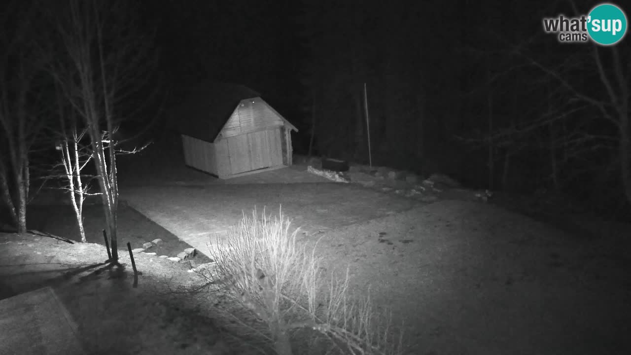 Webcam Lukanja – Pohorje houses a Water village