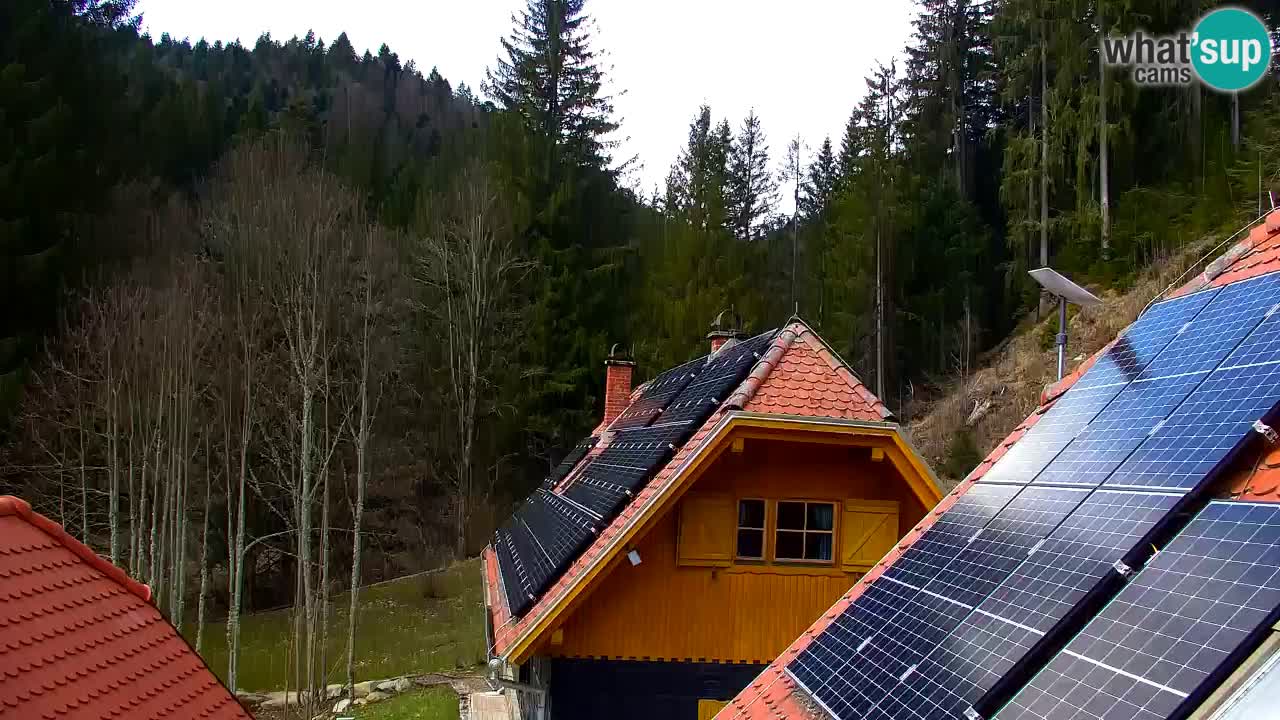 Webcam Lukanja – Water Village | Pohorje Houses