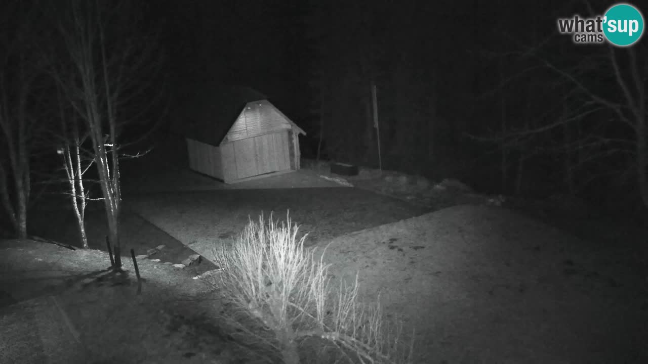 Webcam Lukanja – Water Village | Pohorje Houses