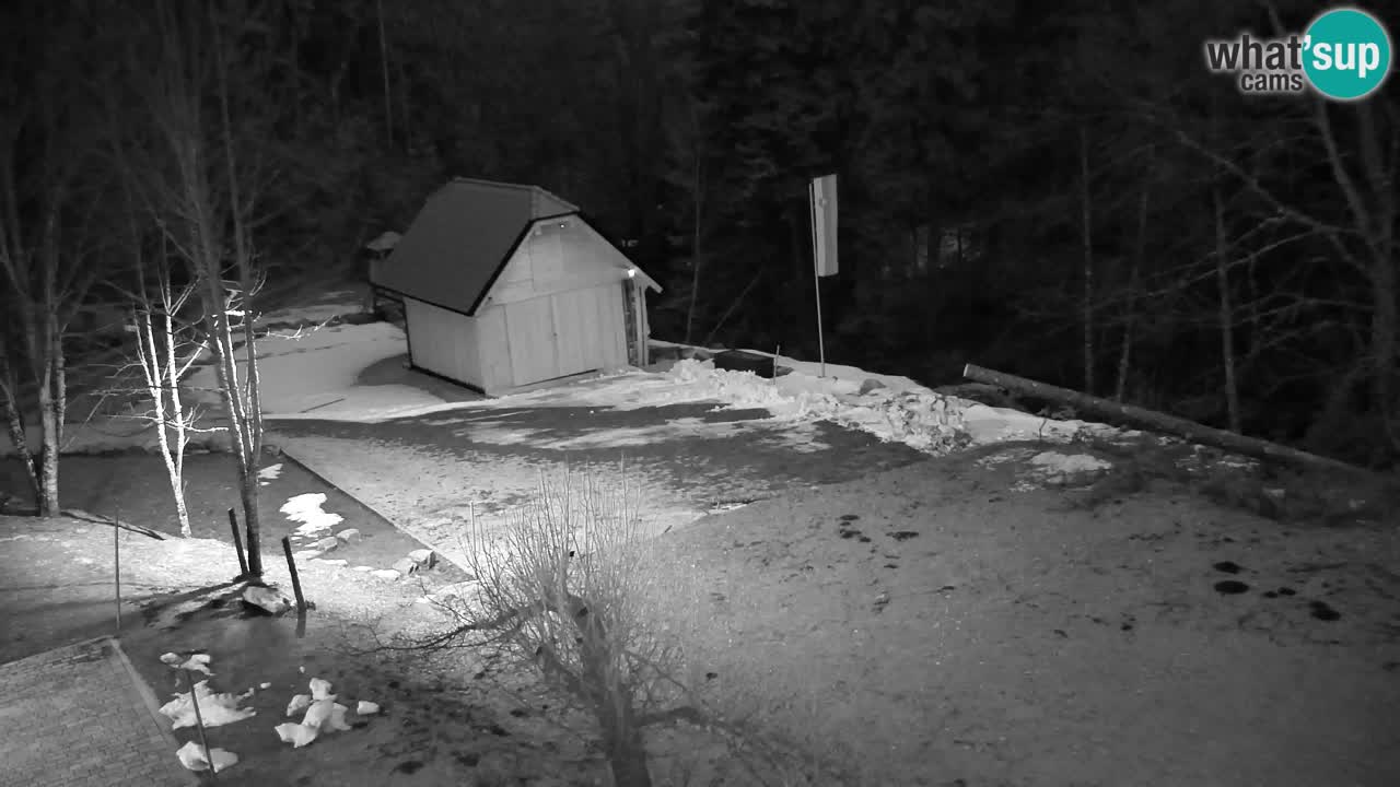 Webcam Lukanja – Water Village | Pohorje Houses