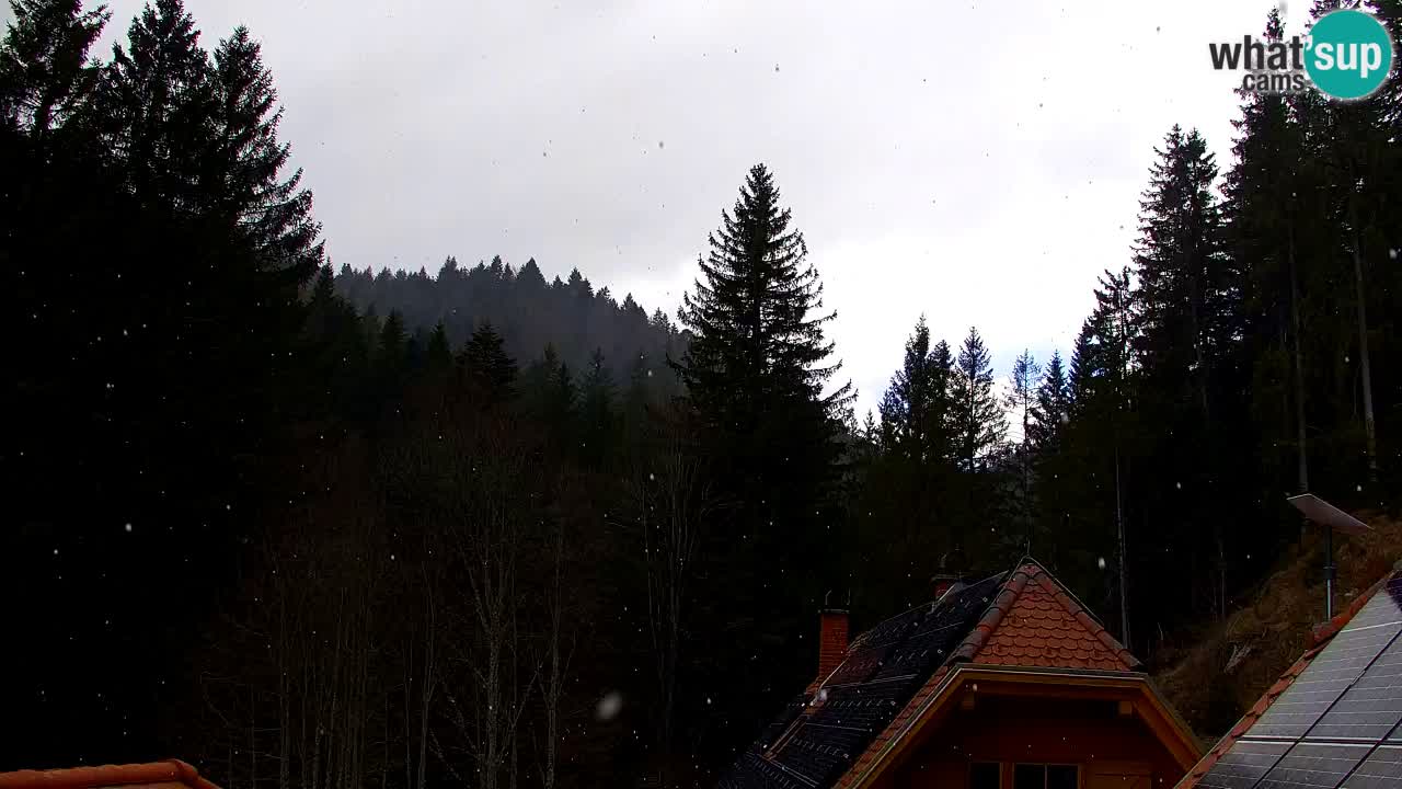 Webcam Lukanja – Pohorje houses a Water village