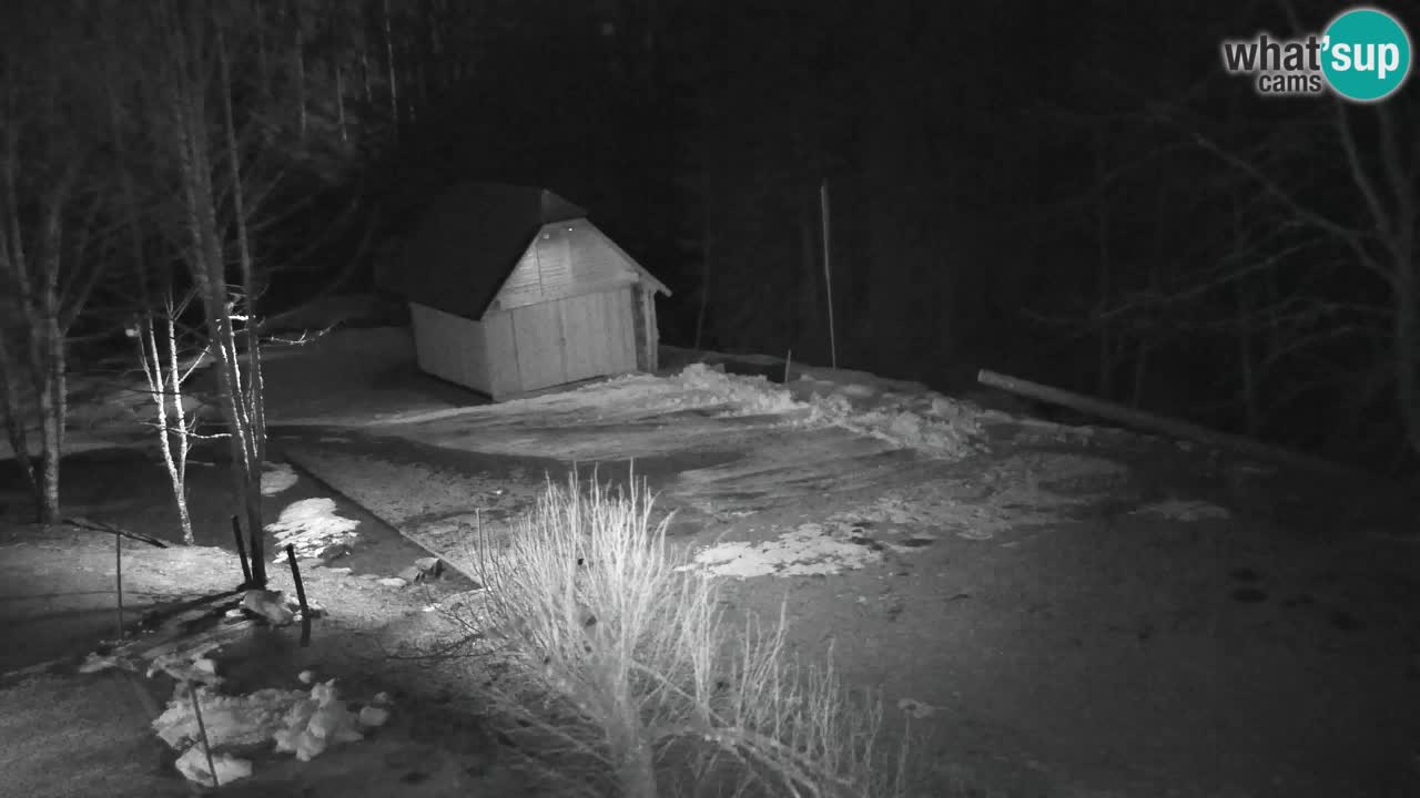 Webcam Lukanja – Water Village | Pohorje Houses