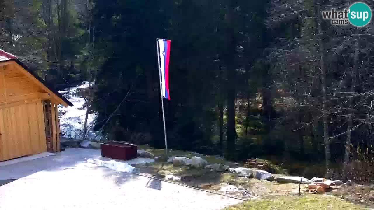 Webcam Lukanja – Water Village | Pohorje Houses