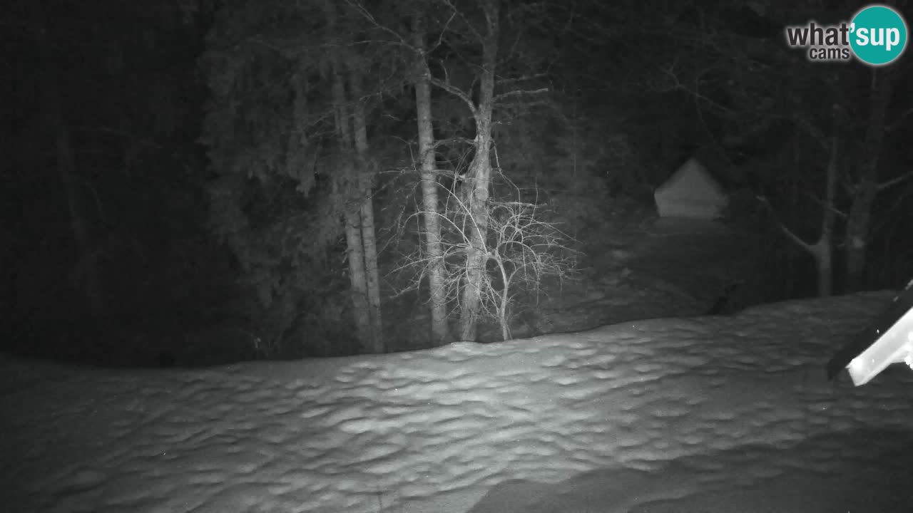 Webcam Lukanja – Pohorje houses a Water village