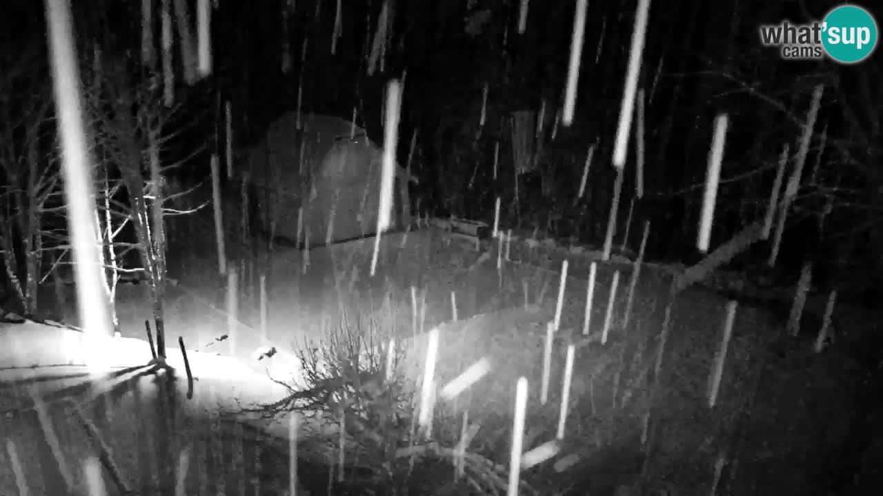 Webcam Lukanja – Pohorje houses a Water village