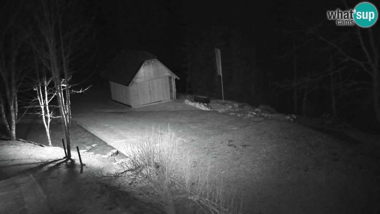 Webcam Lukanja – Water Village | Pohorje Houses