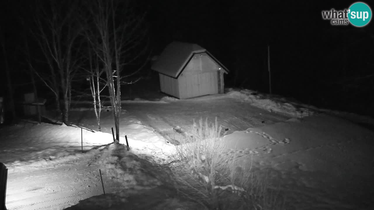 Webcam Lukanja – Pohorje houses a Water village