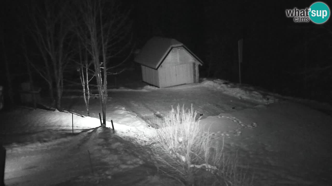 Webcam Lukanja – Water Village | Pohorje Houses