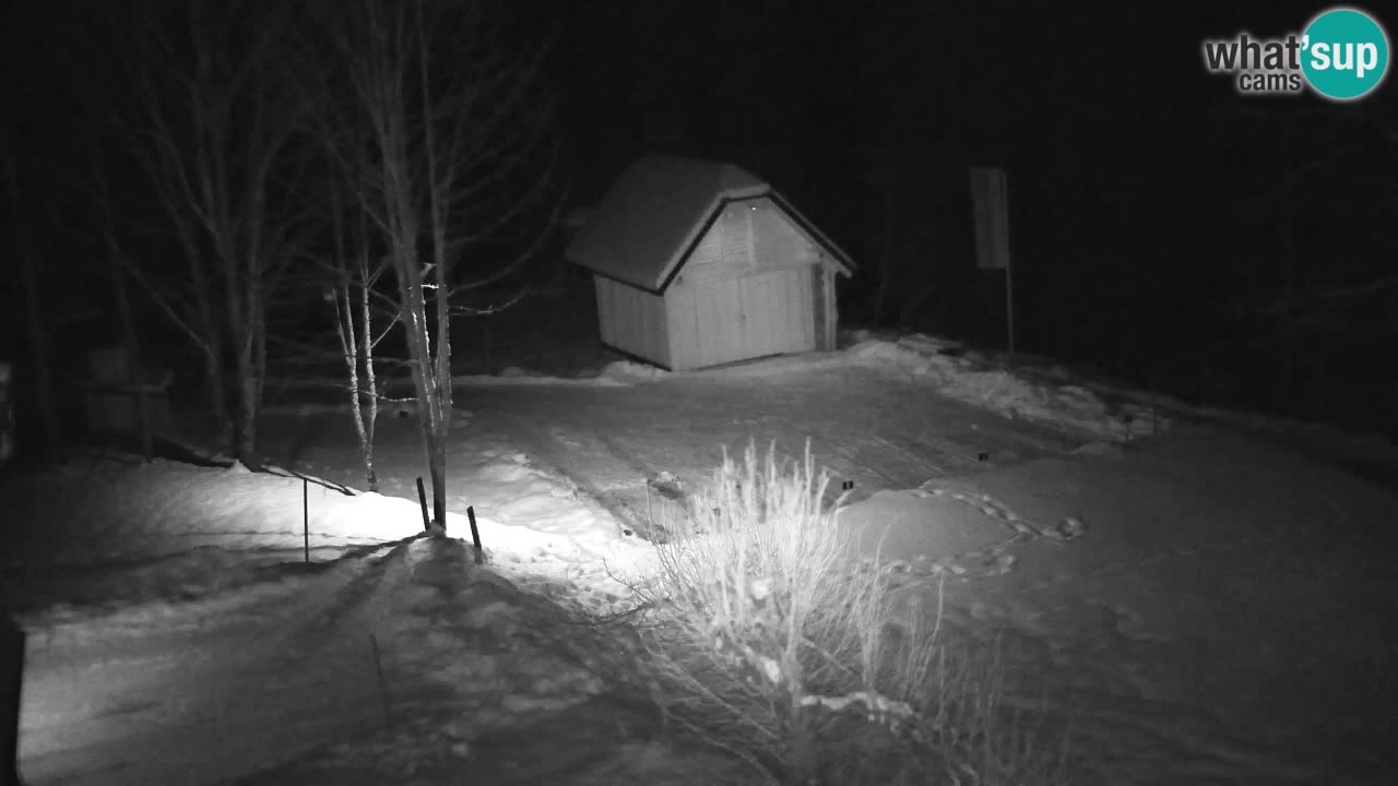 Webcam Lukanja – Pohorje houses a Water village