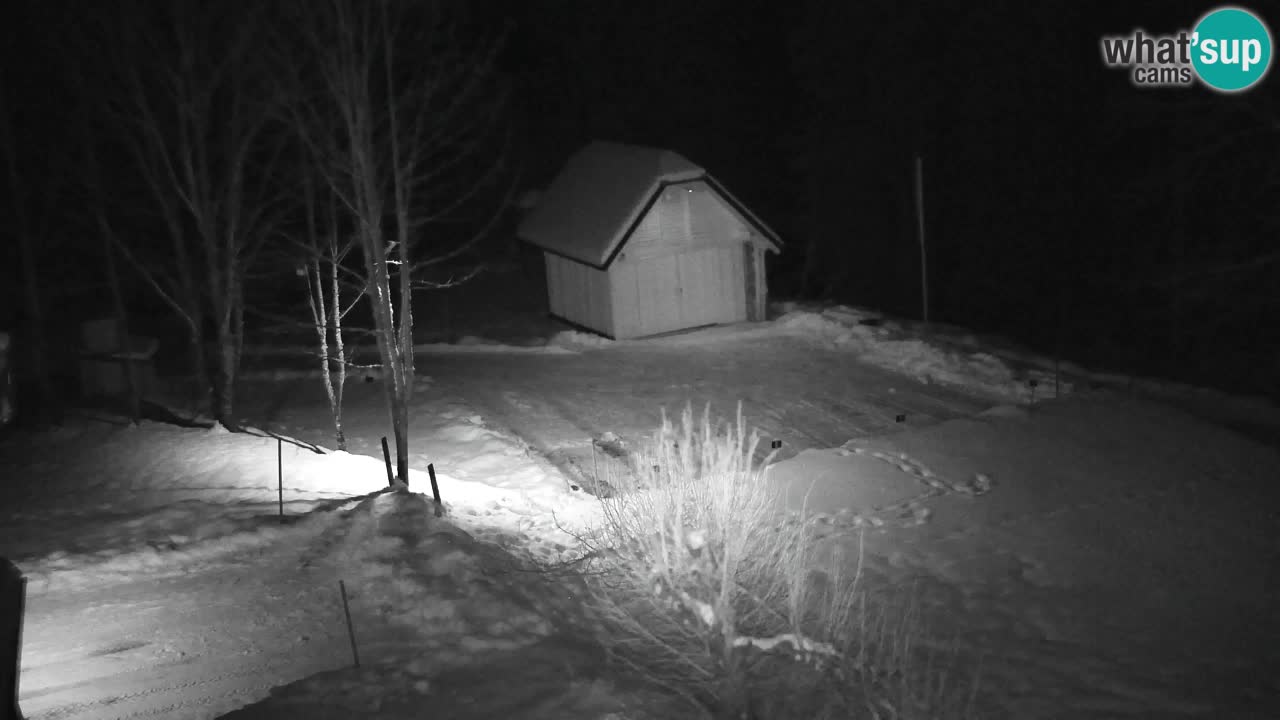 Webcam Lukanja – Pohorje houses a Water village