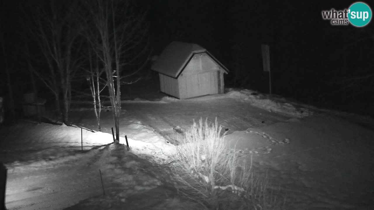 Webcam Lukanja – Water Village | Pohorje Houses