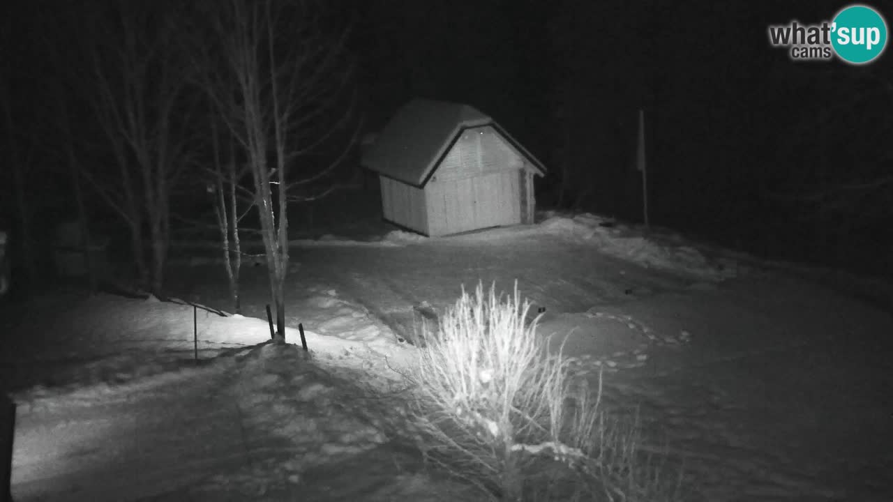 Webcam Lukanja – Pohorje houses a Water village