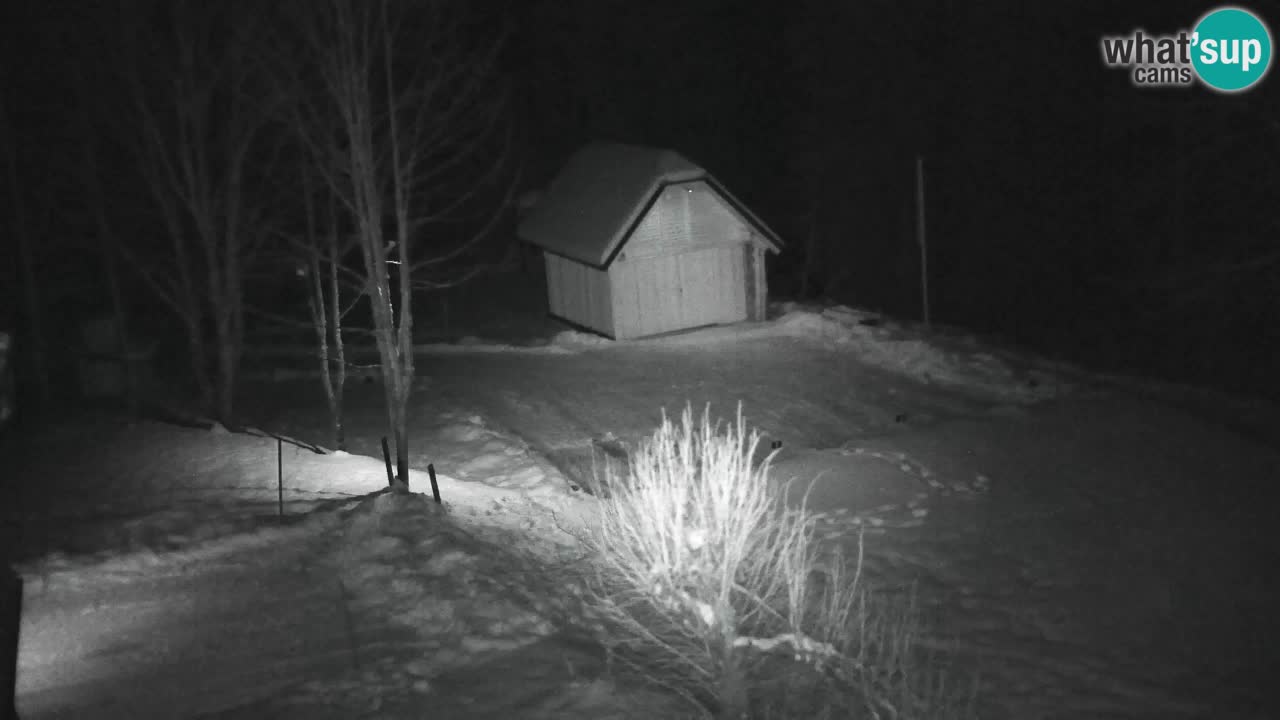 Webcam Lukanja – Water Village | Pohorje Houses