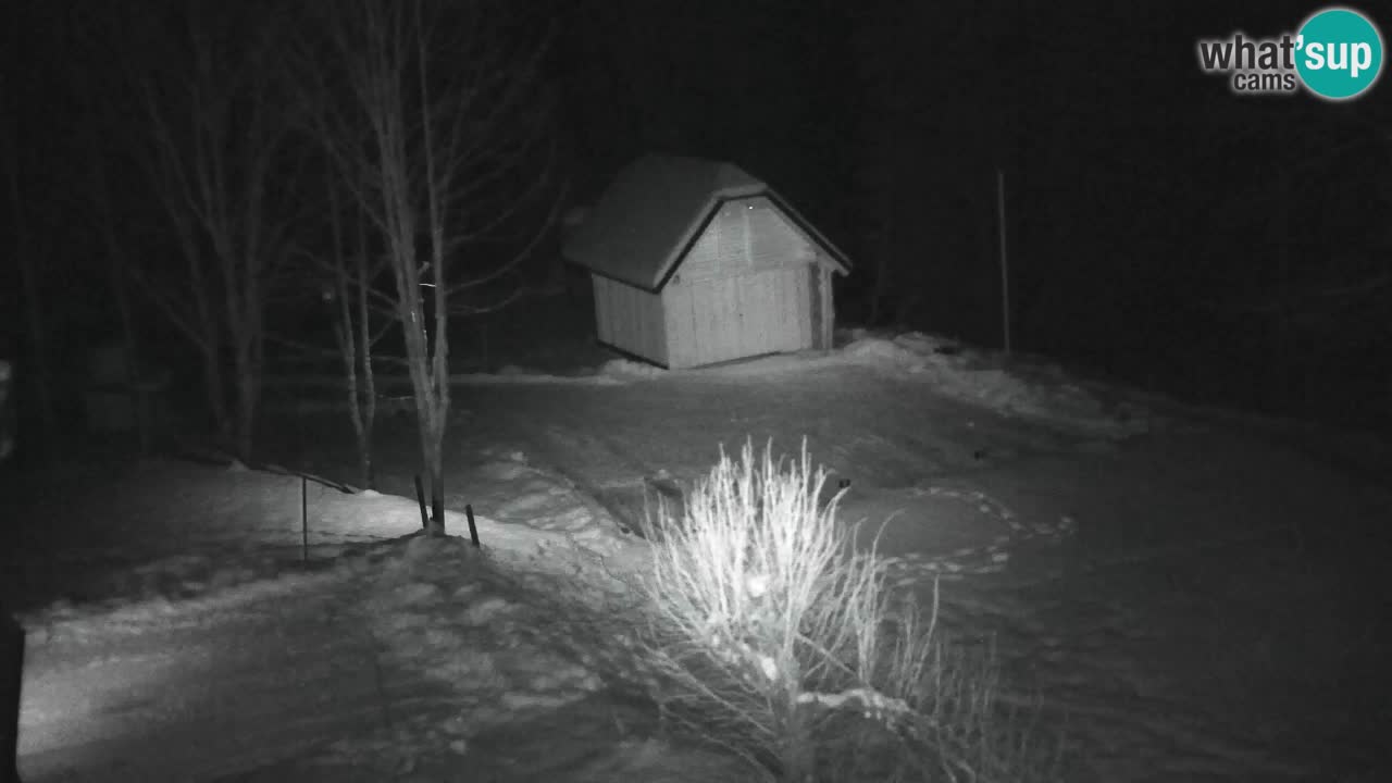 Webcam Lukanja – Pohorje houses a Water village