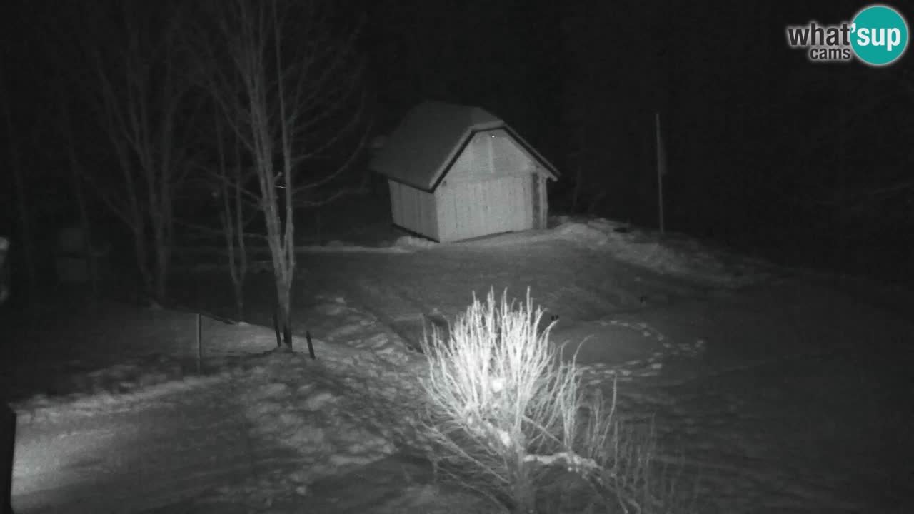 Webcam Lukanja – Pohorje houses a Water village