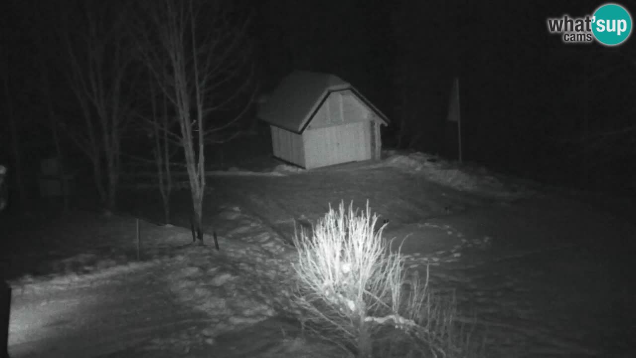 Webcam Lukanja – Pohorje houses a Water village