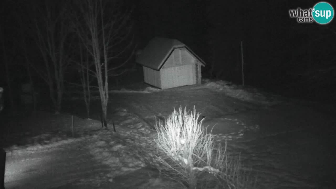 Webcam Lukanja – Pohorje houses a Water village