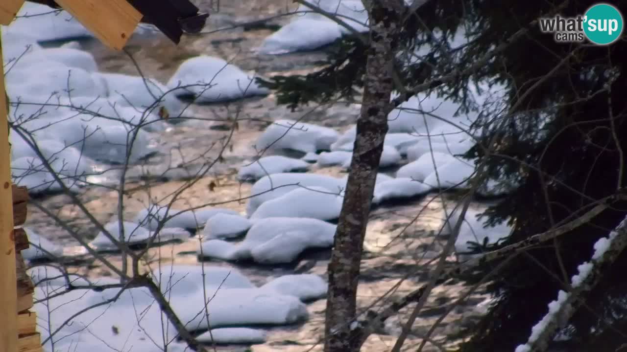 Spletna kamera Lukanja – Water Village | Pohorje Houses