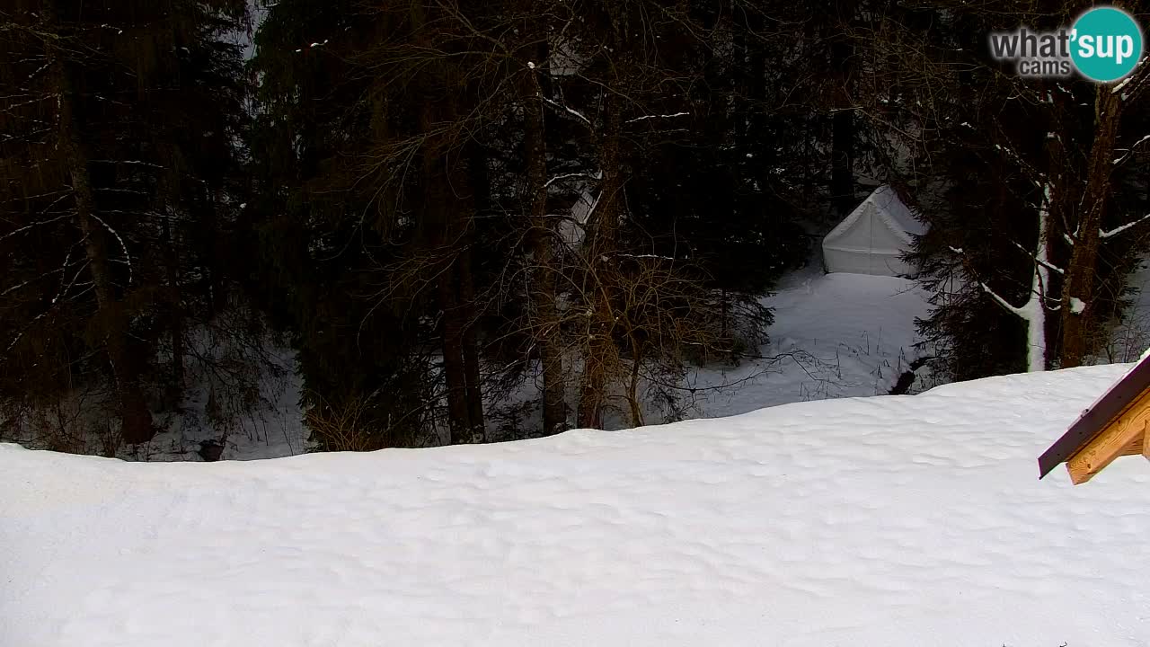 Webcam Lukanja – Water Village | Pohorje Houses