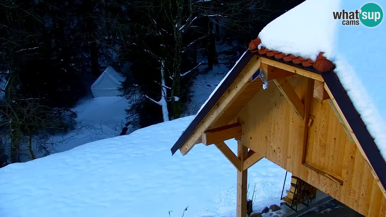Webcam Lukanja – Water Village | Pohorje Houses