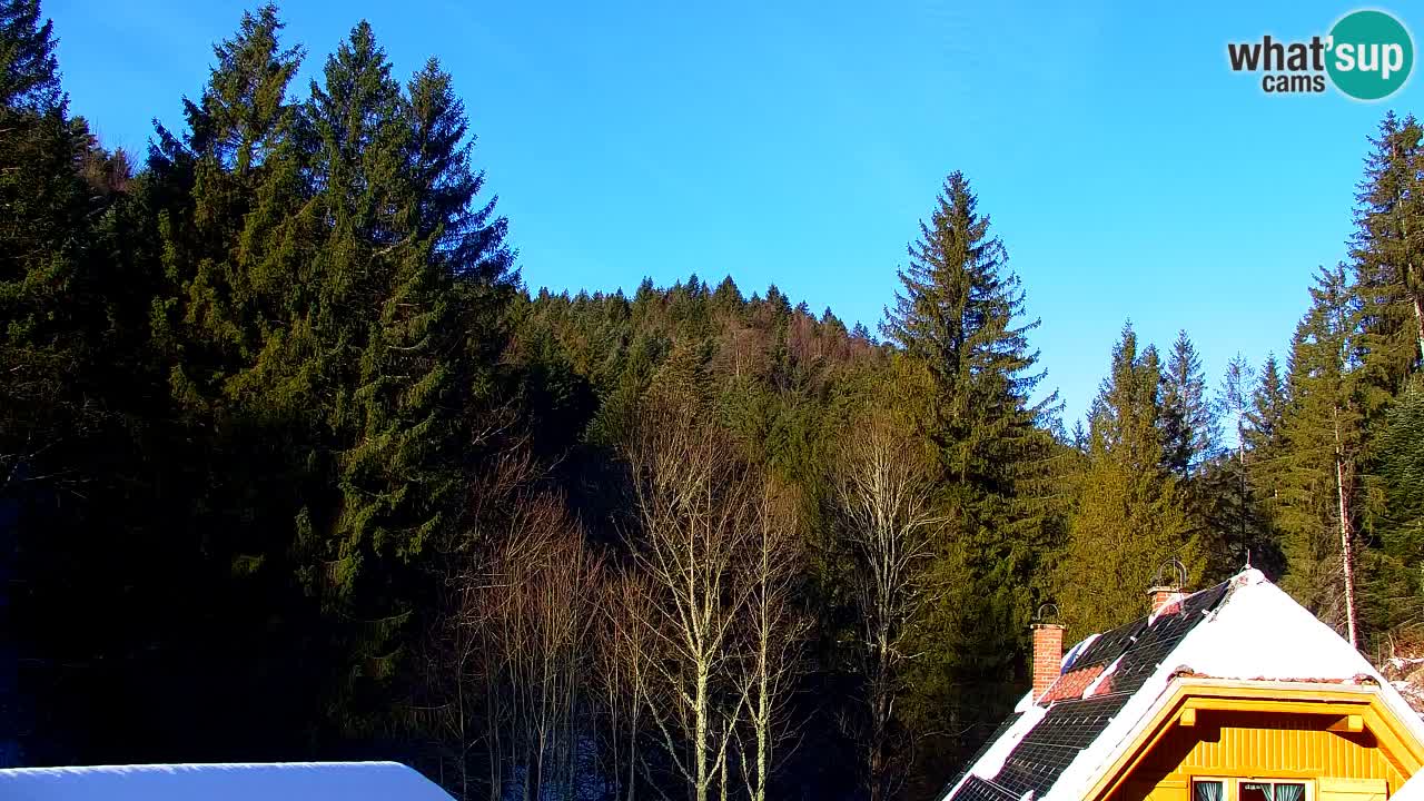 Webcam Lukanja – Water Village | Pohorje Houses