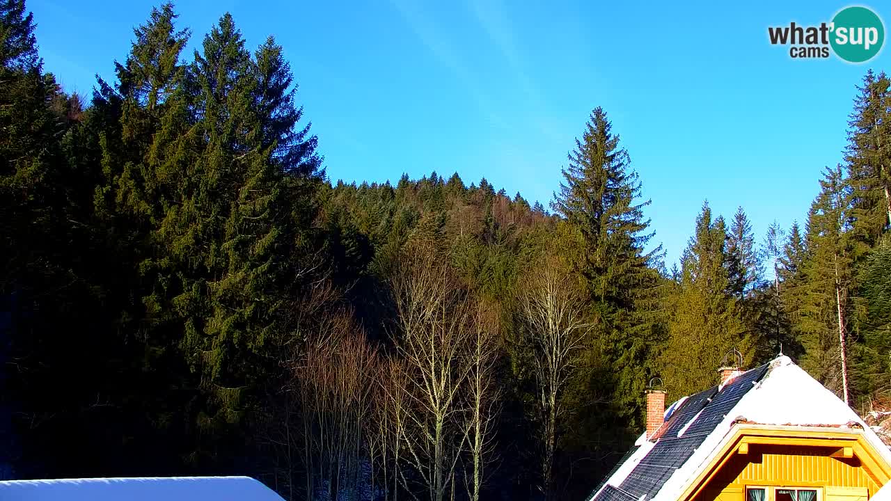 Webcam Lukanja – Water Village | Pohorje Houses