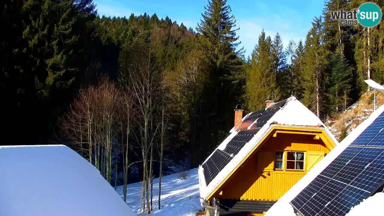 Webcam Lukanja – Water Village | Pohorje Houses