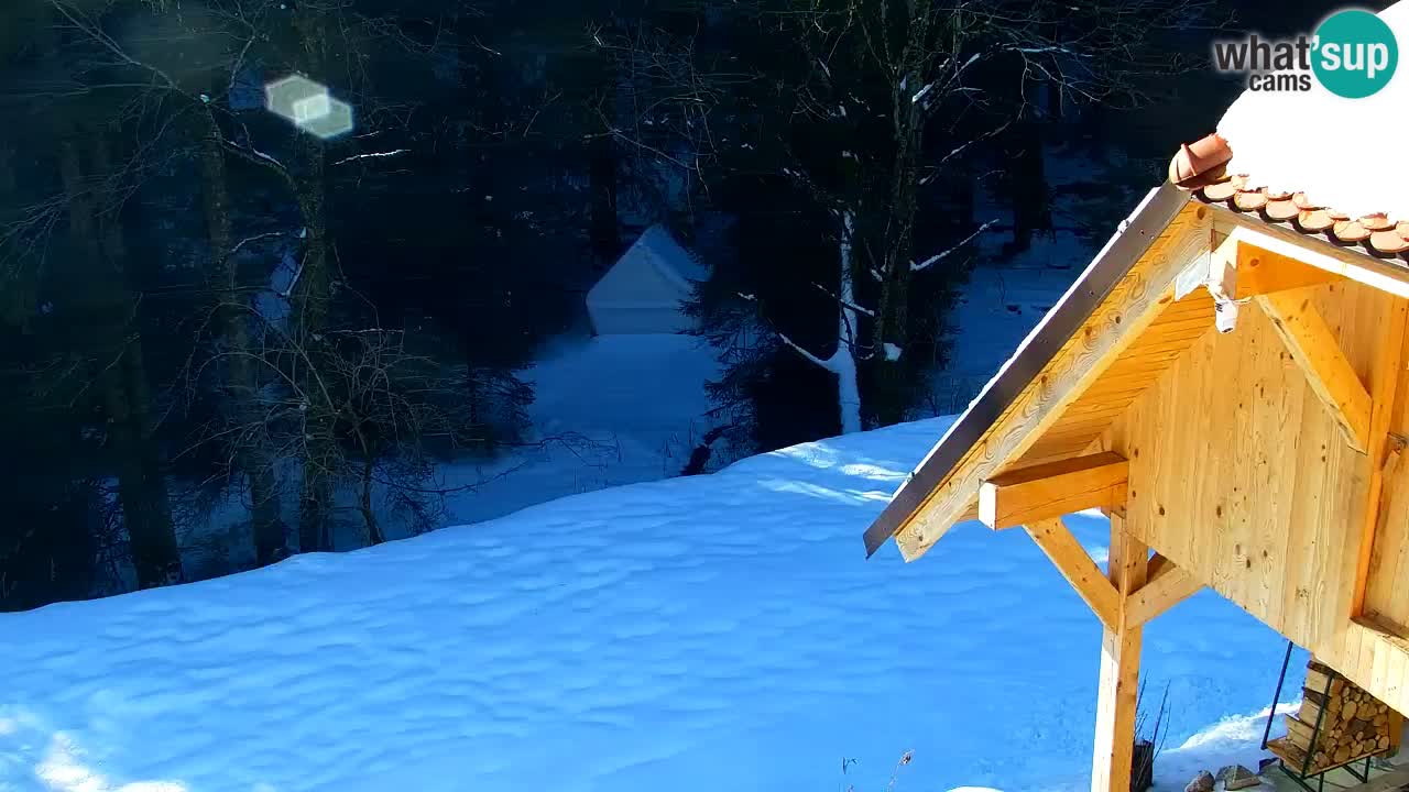 Webcam Lukanja – Water Village | Pohorje Houses