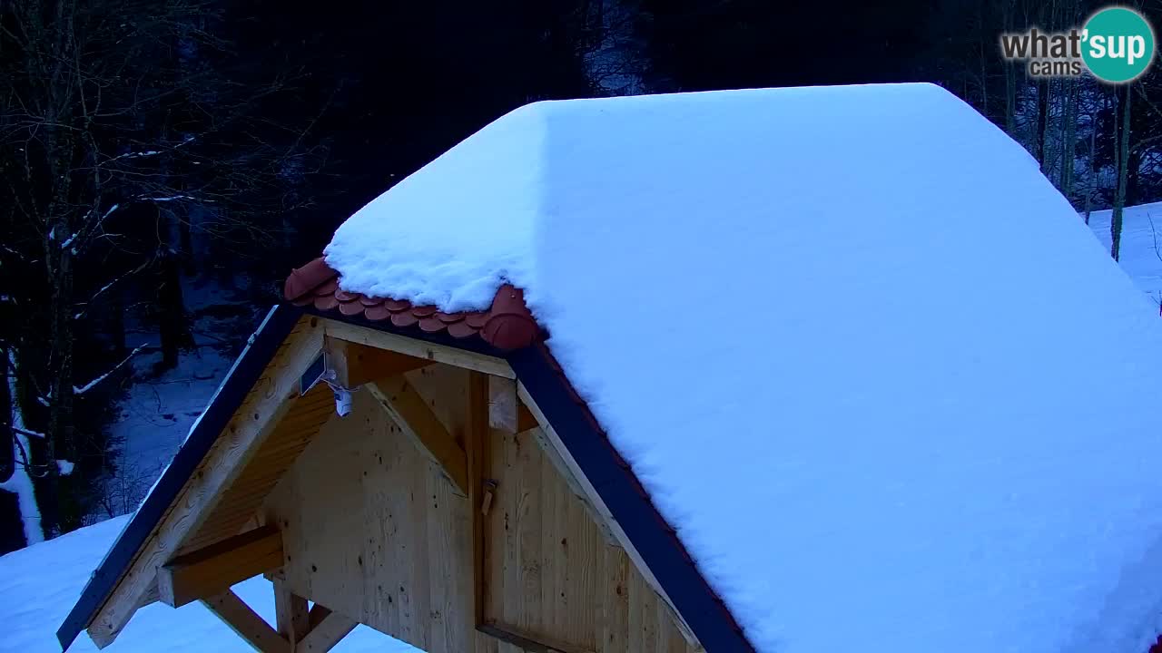 Webcam Lukanja – Pohorje houses a Water village