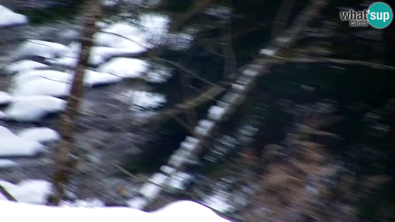 Webcam Lukanja – Pohorje houses a Water village