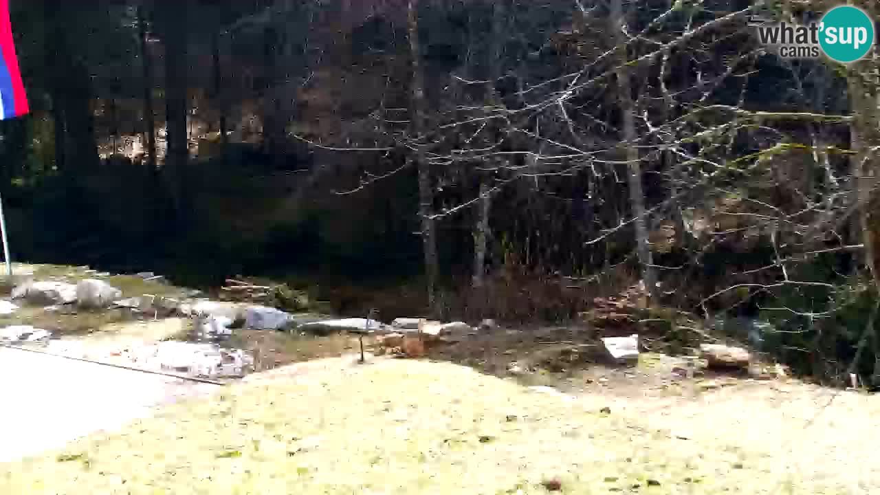 Webcam Lukanja – Water Village | Pohorje Houses