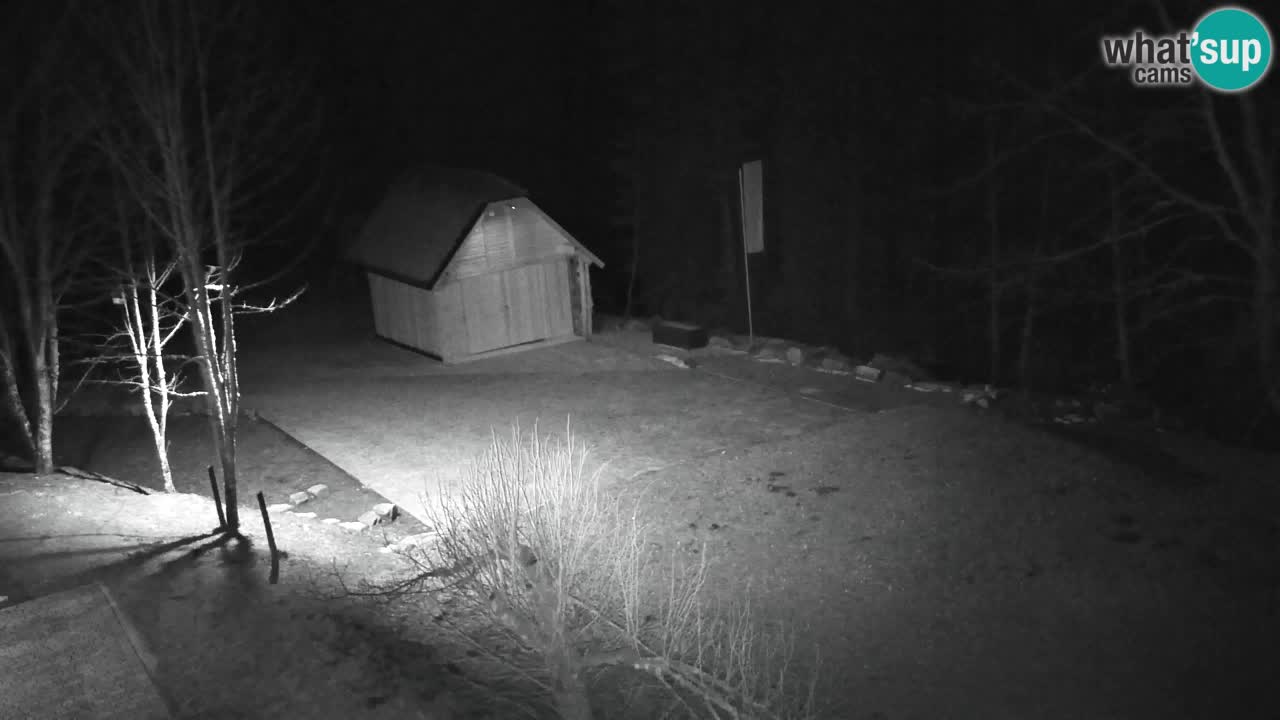 Webcam Lukanja – Pohorje houses a Water village