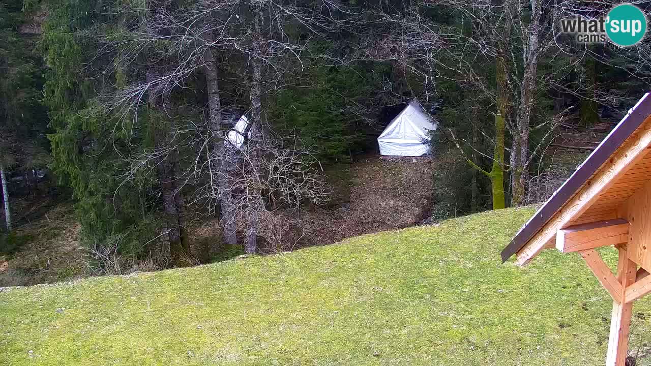 Webcam Lukanja – Pohorje houses a Water village