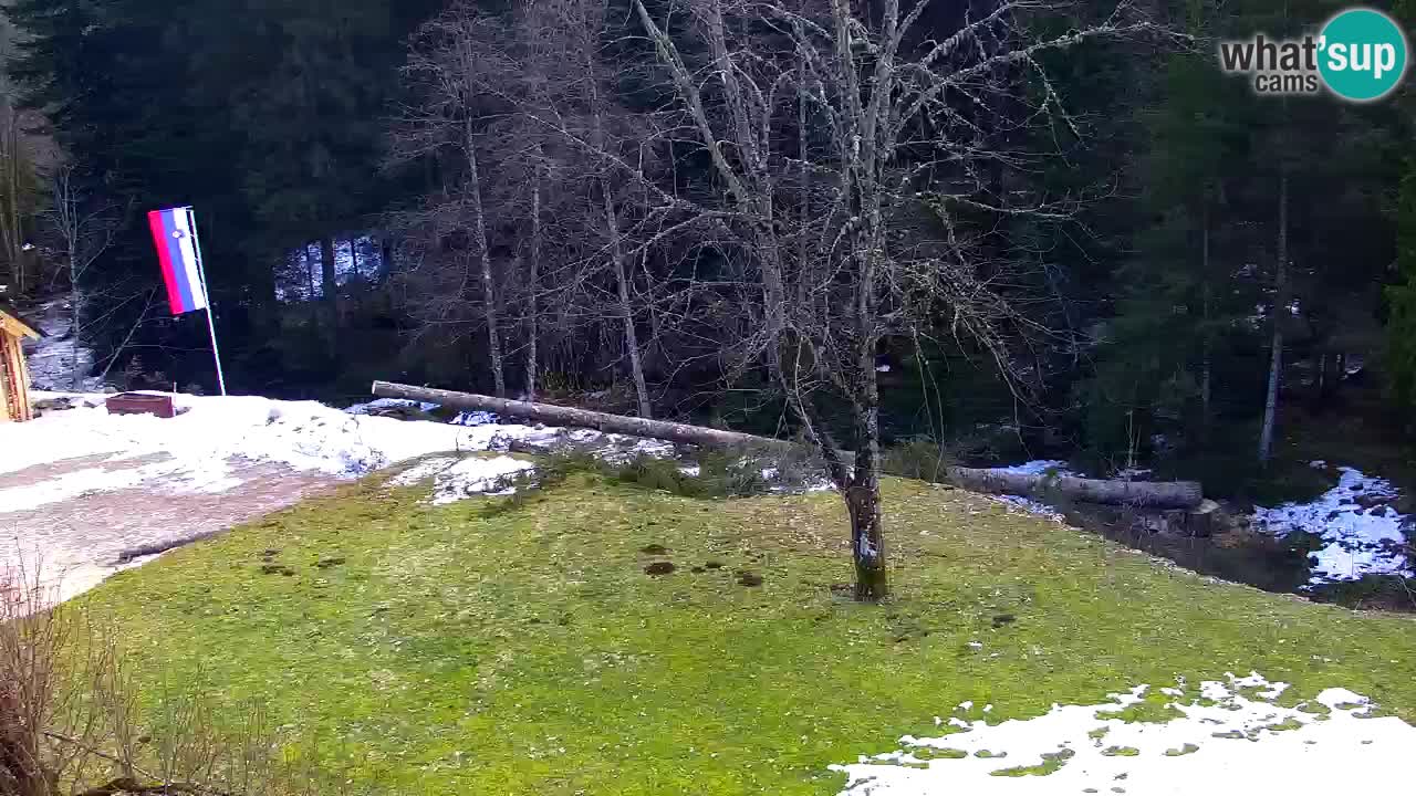 Web kamera Lukanja – Water Village | Pohorje Houses