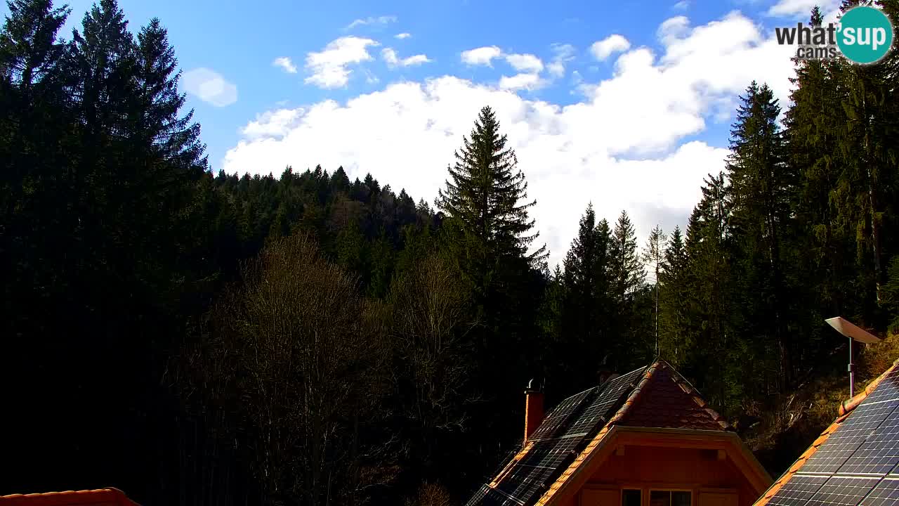 Webcam Lukanja – Water Village | Pohorje Houses