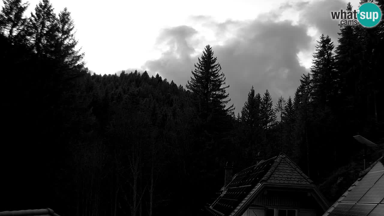 Web kamera Lukanja – Water Village | Pohorje Houses